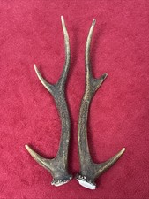 PAIR OF SIKA DEER ANTLERS