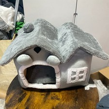 Pet cat kitten dog - cat, igloo