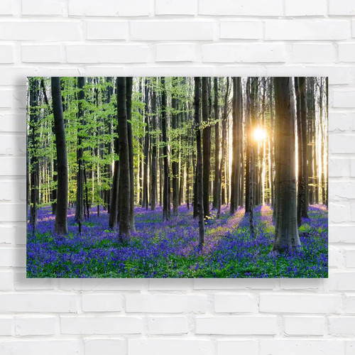 Bluebells forest canvas - forest,
