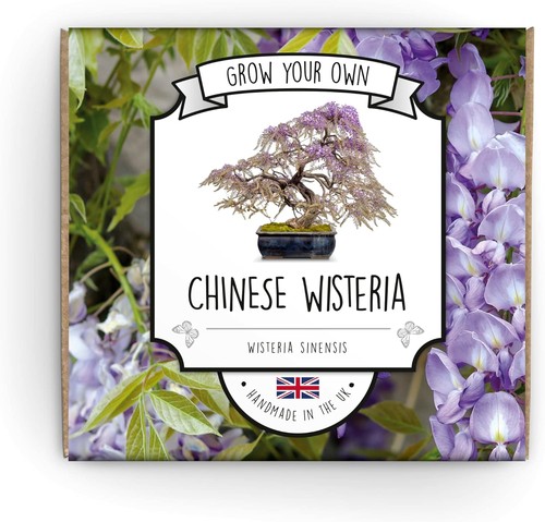 Grow your own bonsai - your, |