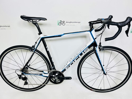 Used focus cayo evo - cayo, carbon