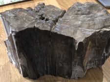 Huge Display Piece Fossil Silicified Wood 18cm