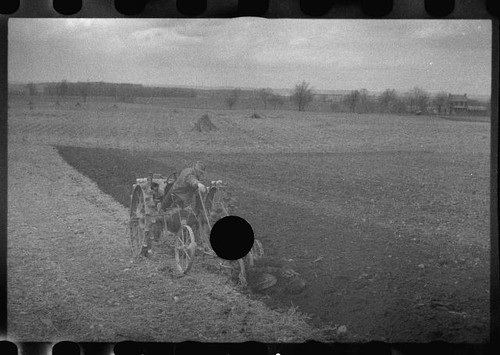 Photo 1930s farm plowing - photo:1930s, horse