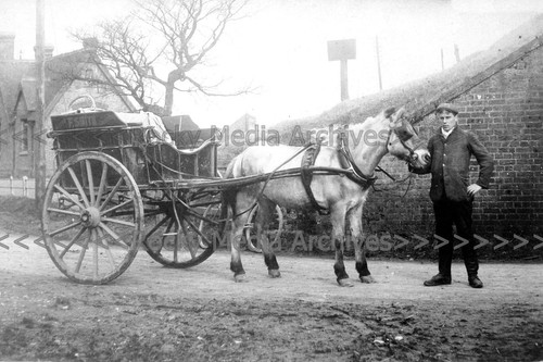 Bcu horse and - bcu-44,