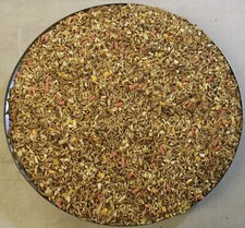 Robin Songbird Wild Bird Food