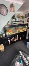 6ft Fish Tank Complete Set Up