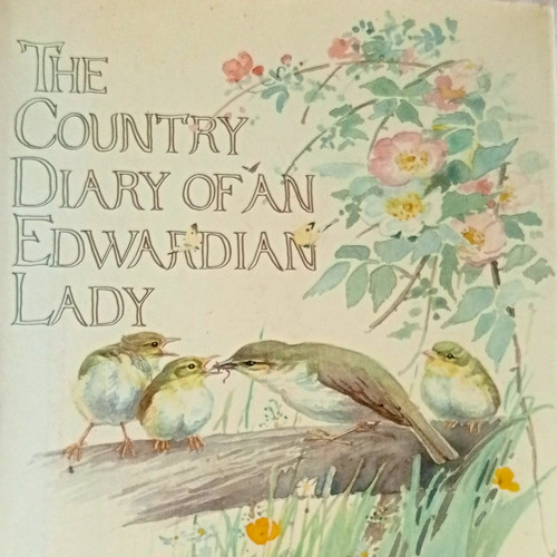 Vintage the country diary - vintage,