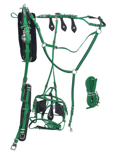 Quick hitch pvc trotting - hitch,