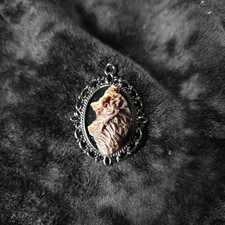 One of a Kind Mummified Crow