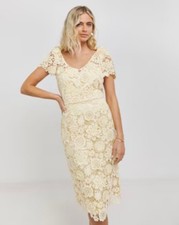 Joanna Hope Lace Midi Dress