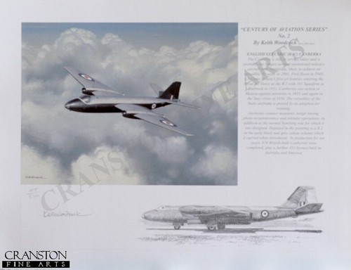 Raf aviation art - ,