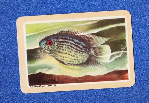 Vintage woolworths fish swap - vintage,