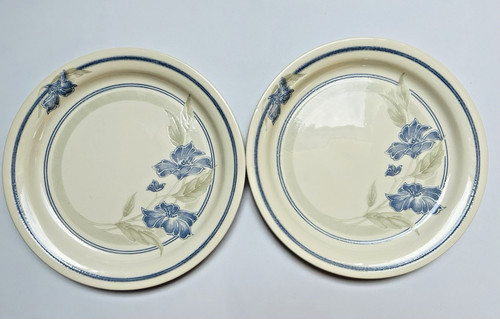 Set vintage dinner plates - set,