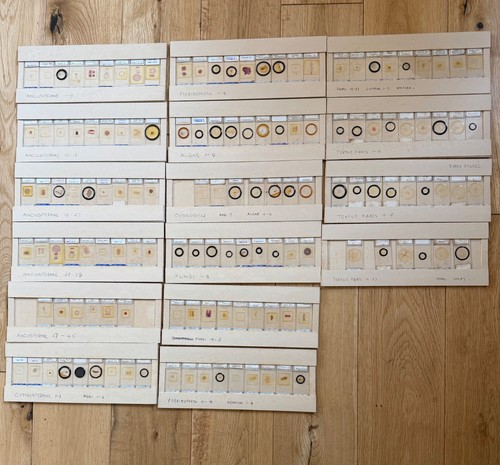Vintage flatters garnett - vintage, &