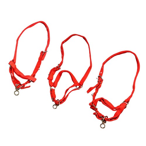 Horse training halter - horse,