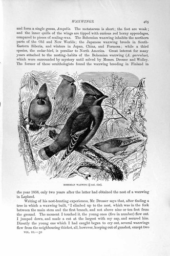 Original old antique - original, print