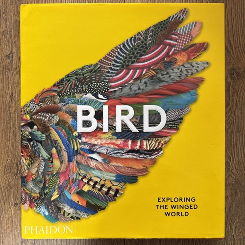 Bird exploring the winged - bird,