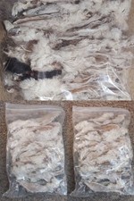 Rabbit ears with - rabbit,