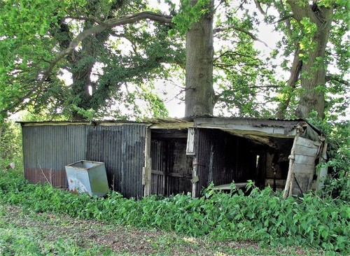 Photo 6x4 derelict sheds - photo,