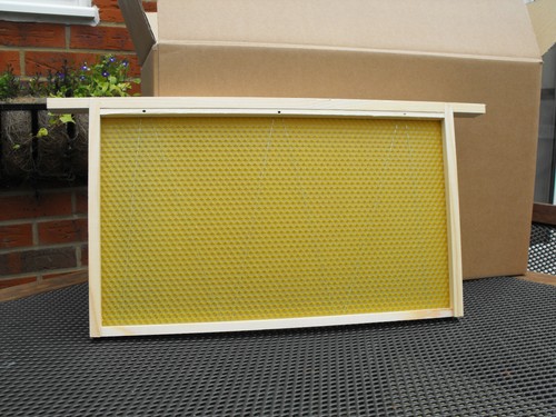 Dn1 national wbc frames - dn1,