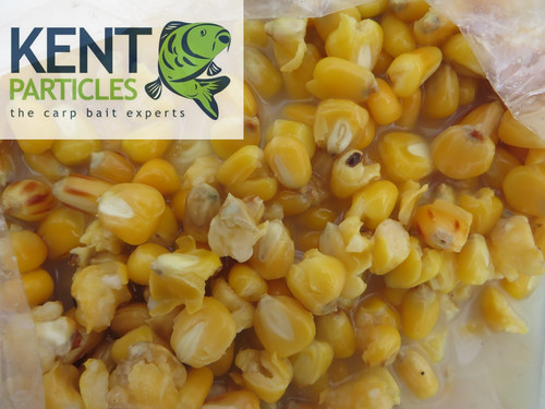 Cooked maize bags free p - maize,