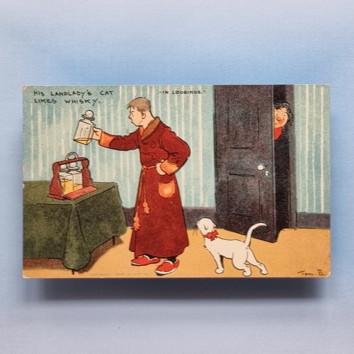 Comic postcard c1907 tom - postcard,