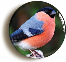 BULLFINCH BIRD WATCHING BADGE