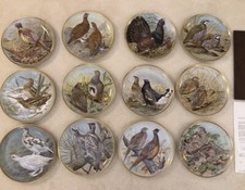 Game Birds Of The World