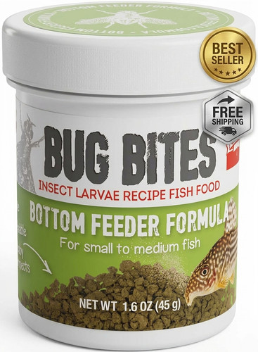 Bug bites bottom feeder fish - bug,