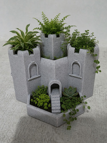 Epic castle succulent - castle,