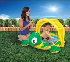 Shady Time Turtle Pool