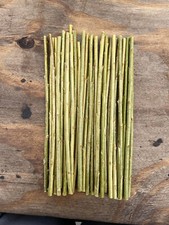 75 Premium Very Hardy and Fast