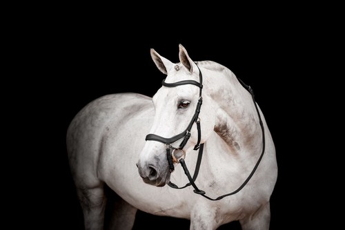 Horseware micklem - micklem, 2