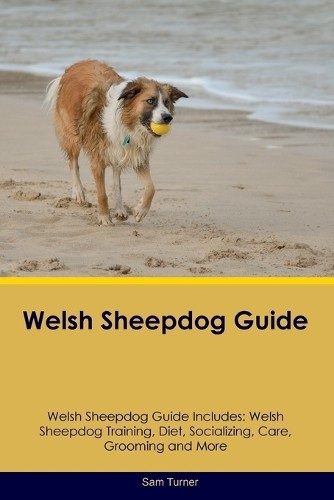 Sam turner welsh sheepdog - sam,