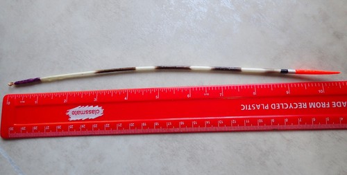 One long slender tiger - one,