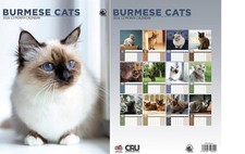 Burmese Cats 2026 Calendar - A3 Size 30 x 42 cm
