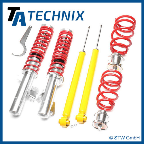 Technix coilovers for ford - ta,