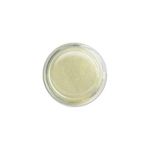 Ranger perfect pearls - ranger,