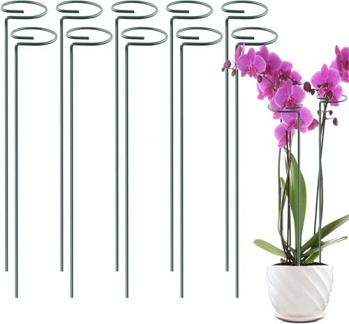 Spiral plant support - plant,