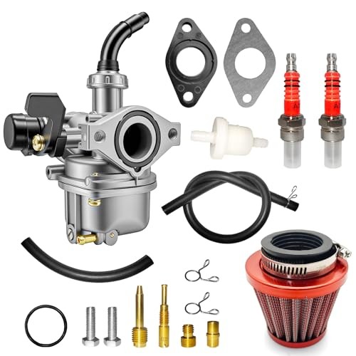 Pz19 carburetor for taotao - pz19,