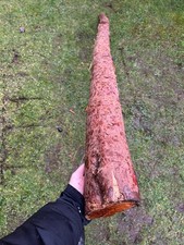 PACIFIC YEW Bow