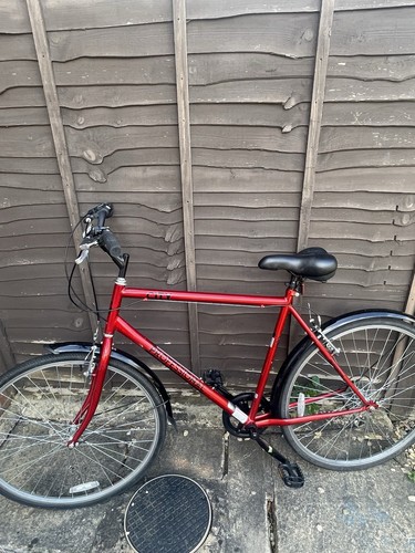 Chimano women bike - chimano, bike.only