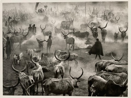 Sebastiao salgado warhol - sebastiao, (warhol