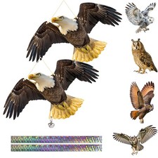 Hawk bird scarers pigeon - bird,
