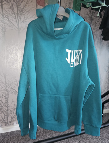 Ladies teal pullover hoodie - ladies,