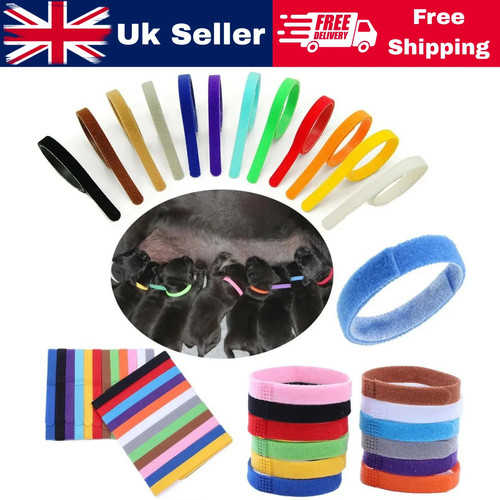 Newborn whelping bands - id,