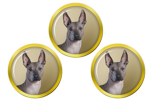 Mexican hairless dog golf ball - dog,
