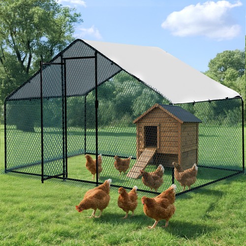 Large walk metal - large, chicken