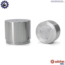 PISTON BRAKE CALIPER D025386