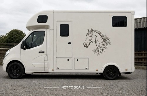 Horse box vinyl decal - horse, |